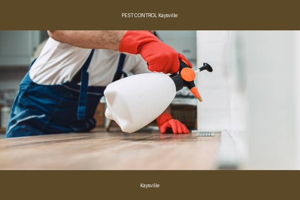PEST CONTROL Kaysville
